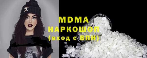 молекула духа Новозыбков