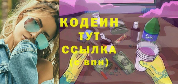 молекула духа Новозыбков
