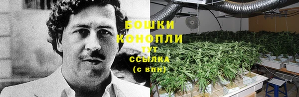 молекула духа Новозыбков