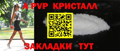 шишки Камышлов