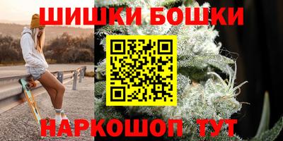 шишки Камышлов