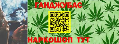 шишки Камышлов