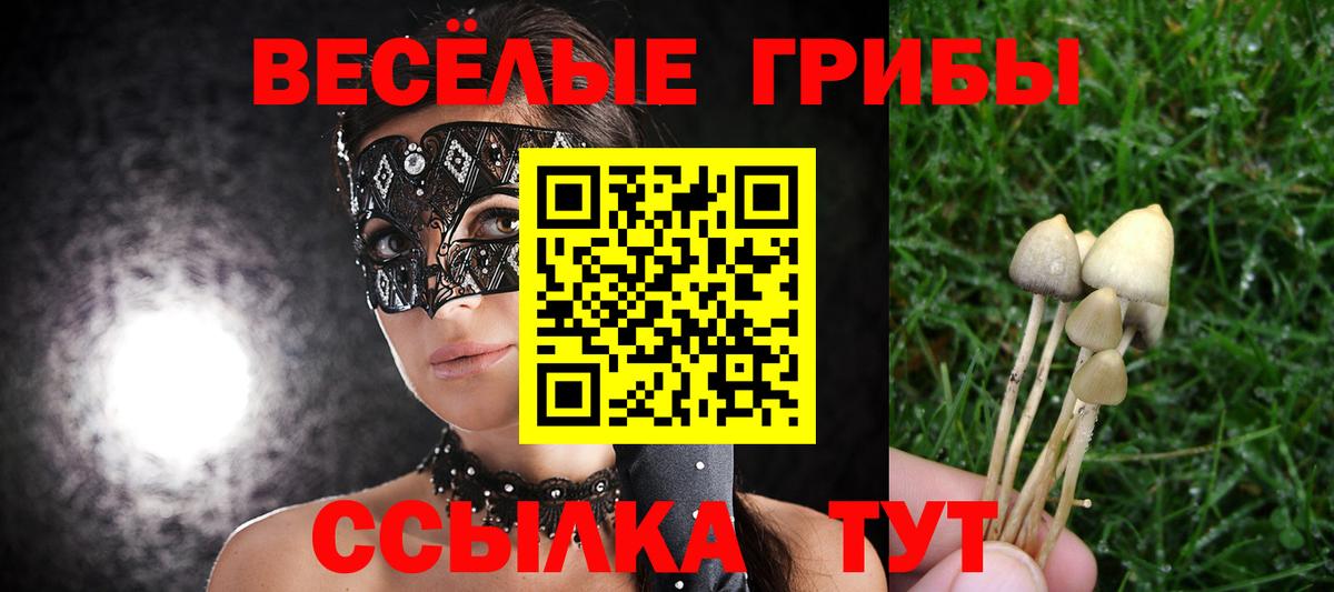 Псилоцибиновые грибы GOLDEN TEACHER Сызрань